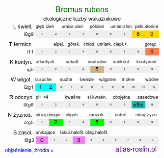 ekologiczne liczby wskaźnikowe Bromus rubens (stokłosa czerwonawa)