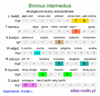 ekologiczne liczby wskaźnikowe Bromus intermedius (stokłosa pośrednia)