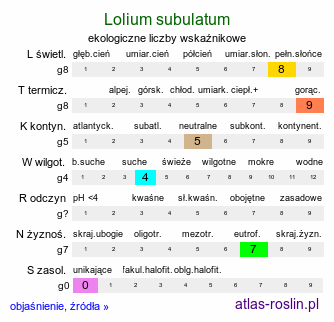 ekologiczne liczby wskaźnikowe Lolium subulatum (życica szydlasta)