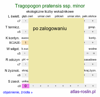 ekologiczne liczby wskaźnikowe Tragopogon pratensis ssp. minor (kozibród łąkowy mniejszy)