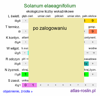 ekologiczne liczby wskaźnikowe Solanum elaeagnifolium