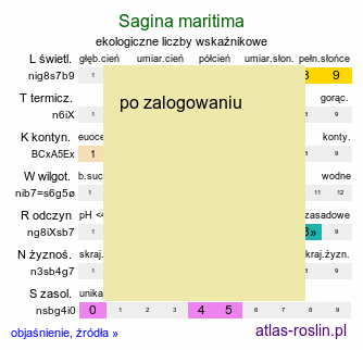 ekologiczne liczby wskaźnikowe Sagina maritima (karmnik nadmorski)