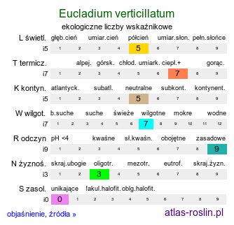ekologiczne liczby wskaźnikowe Eucladium verticillatum (gałęziak prząślik)