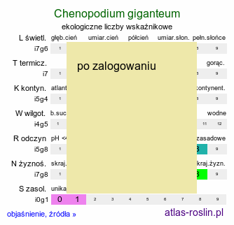 ekologiczne liczby wskaźnikowe Chenopodium giganteum (komosa olbrzymia)