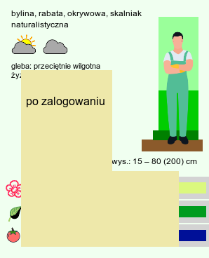 wymagania uprawa Polygonatum (kokoryczka)