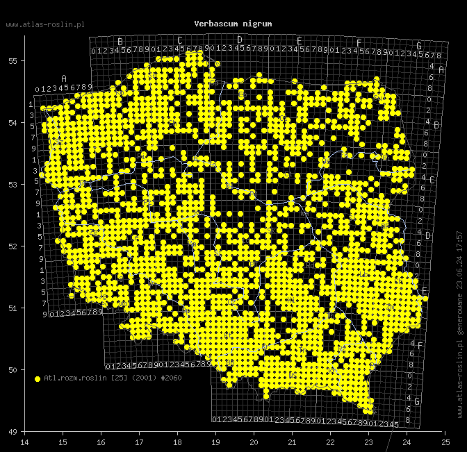 mapa występowania taksonu Verbascum nigrum
