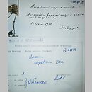 znalezisko 19040706.KRAM148764.jkr - Hieracium carpaticum (jastrzębiec karpacki); Lwów