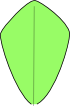 kształt liścia